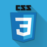 CSS